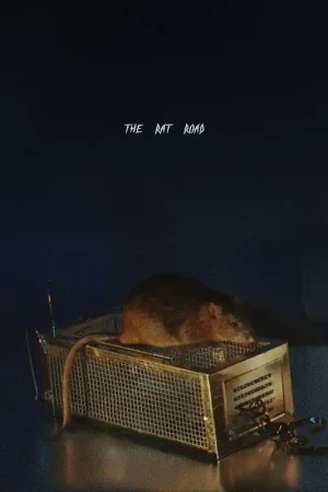 Sbtrkt - Rat Road (2 LPs) Best Price