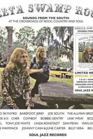 Bargain Various - Delta Swamp Rock (2 LPs)