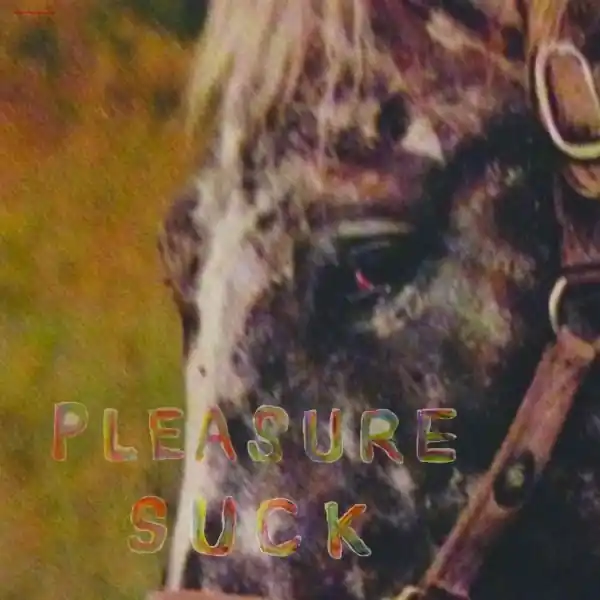 Modern Spirit of the Beehive - Pleasure Suck (LP)