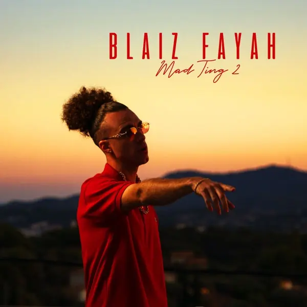 Blaiz Fayah - Mad Ting 2 (LP) Low Price