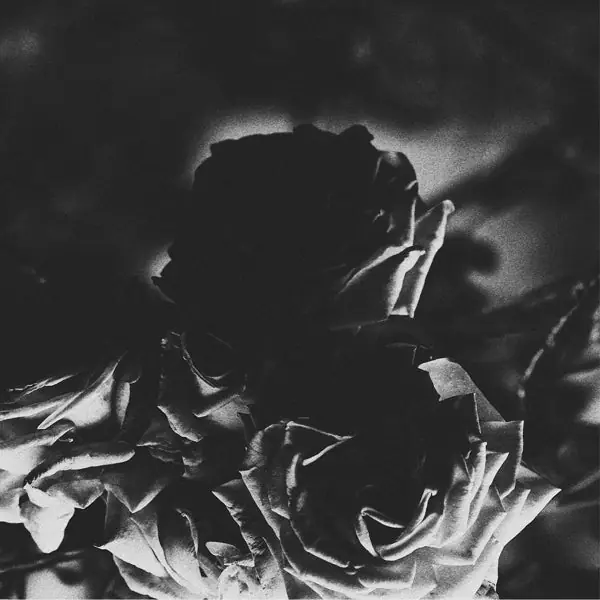 Hexis & Telos - Split (Single) Shop Now