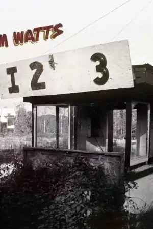 Dim Watts - Eye Two Three (LP) Fan Favorite