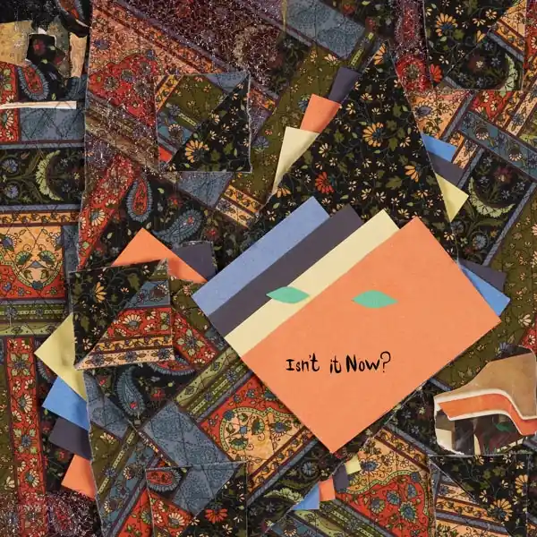 Animal Collective - Isn't It Now? (2 LPs) Budget