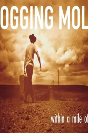 Flogging Molly - Within a Mile..-Gatefold- (LP) Direct From Factory