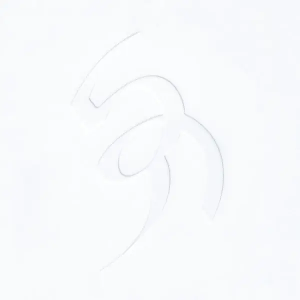 Exclusive David August - Vis (2 LPs)