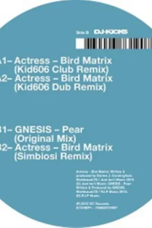 ACTRESS - BIRD MATRIX: REMIX (Vinyl LP) Luxury