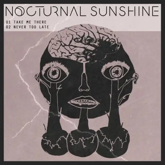 Last Chance NOCTURNAL SUNSHINE - TAKE ME THERE (Vinyl LP)