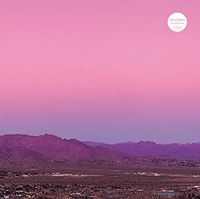 VOORN,JORIS - NOBODY KNOWS (VINYL VERSIONS) (Vinyl 3LP) Weekend Sale