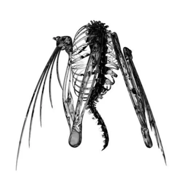 One Day Deal LOTIC - HETEROCETERA (Vinyl LP)