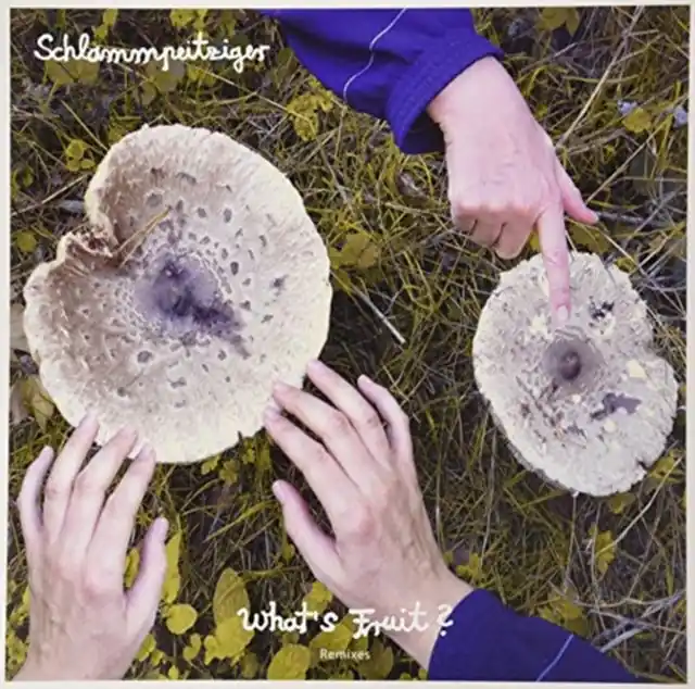 SCHLAMMPEITZIGER - WHAT'S FRUIT REMIXES (Vinyl) Instant Buy