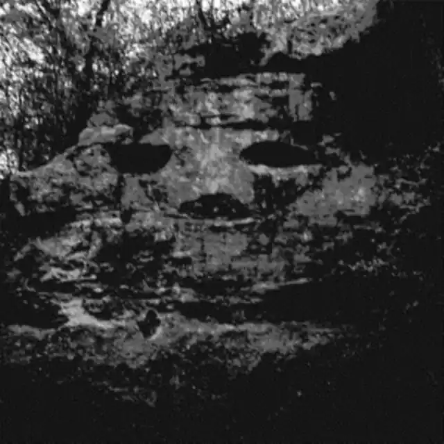 Grab Now PANICSVILLE - DRAGONFLY FOR EACH CORPSE (LP/SIN) (Vinyl)