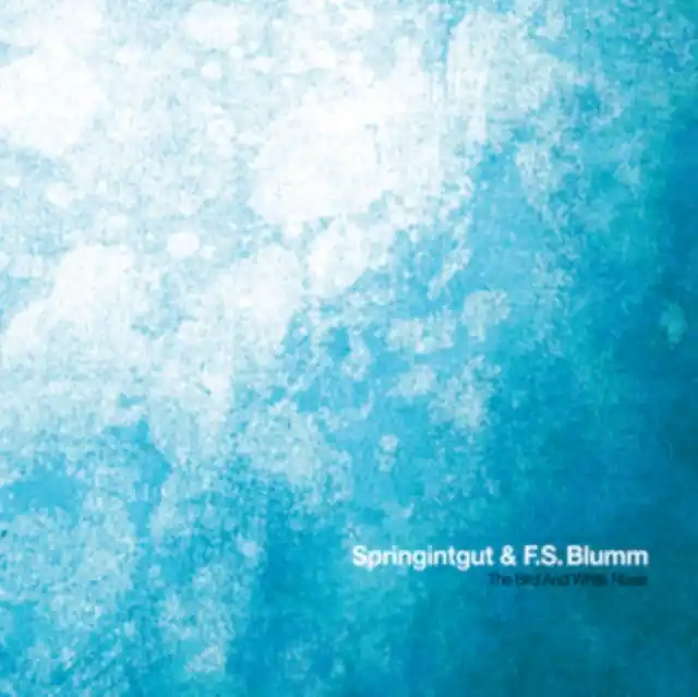 Discount SPRINGINTGUT & F.S. BLUMM - BIRD & WHITE NOISE (Vinyl)