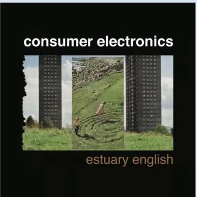 CONSUMER ELECTRONICS - ESTUARY ENGLISH (2XTIN/CD) (Vinyl) Free Delivery