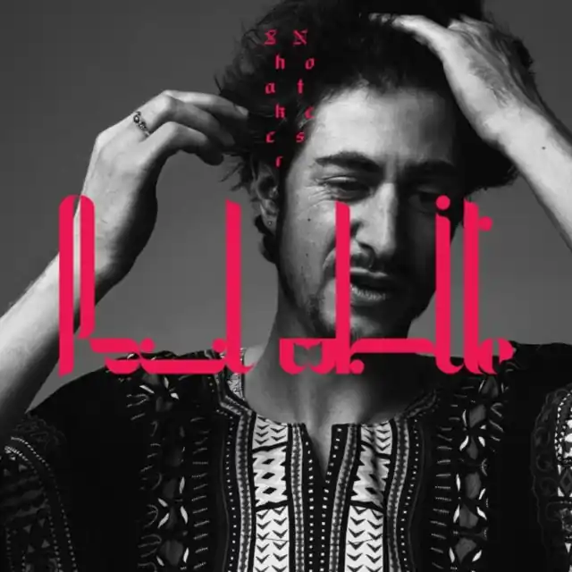 WHITE,PAUL - SHAKER NOTES (Vinyl) Modern