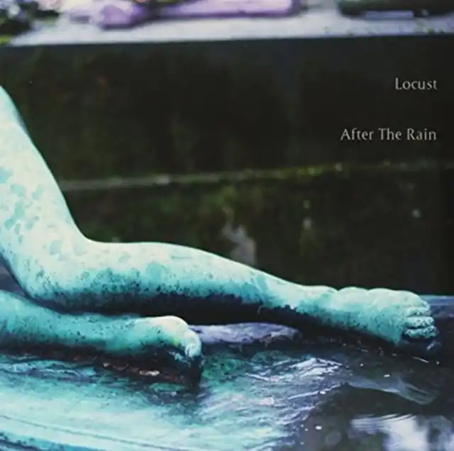 Best Seller LOCUST - AFTER THE RAIN (Vinyl)