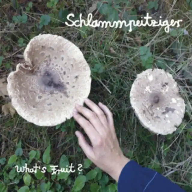 SCHLAMMPEITZIGER - WHAT'S FRUIT (Vinyl) New Arrival