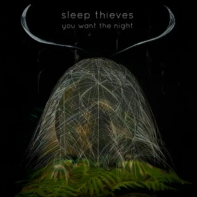 SLEEP THIEVES - YOU WANT THE NIGHT (Vinyl) Sale