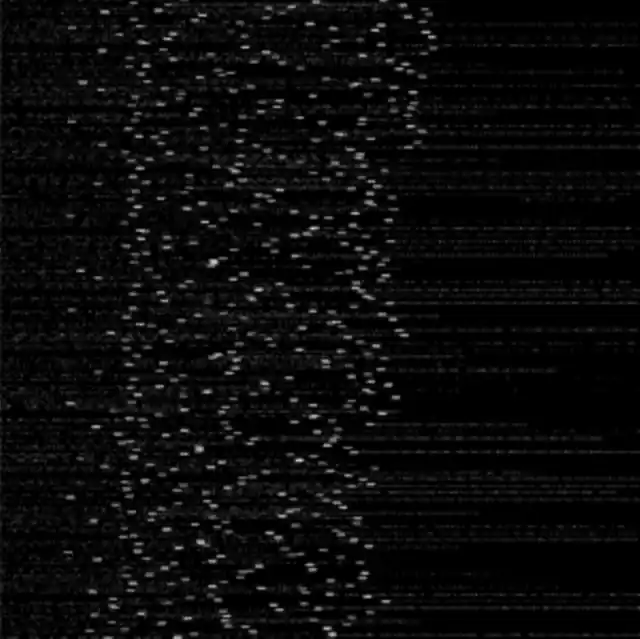 APPLICATION - SYSTEM FORK (2LP) (Vinyl) Handmade