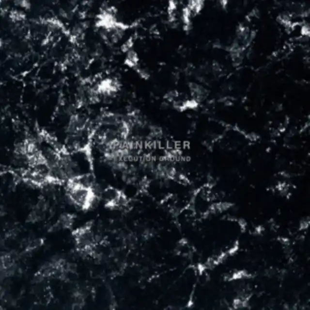 PAINKILLER - EXECUTION GROUND (Vinyl LP) No Minimum Order